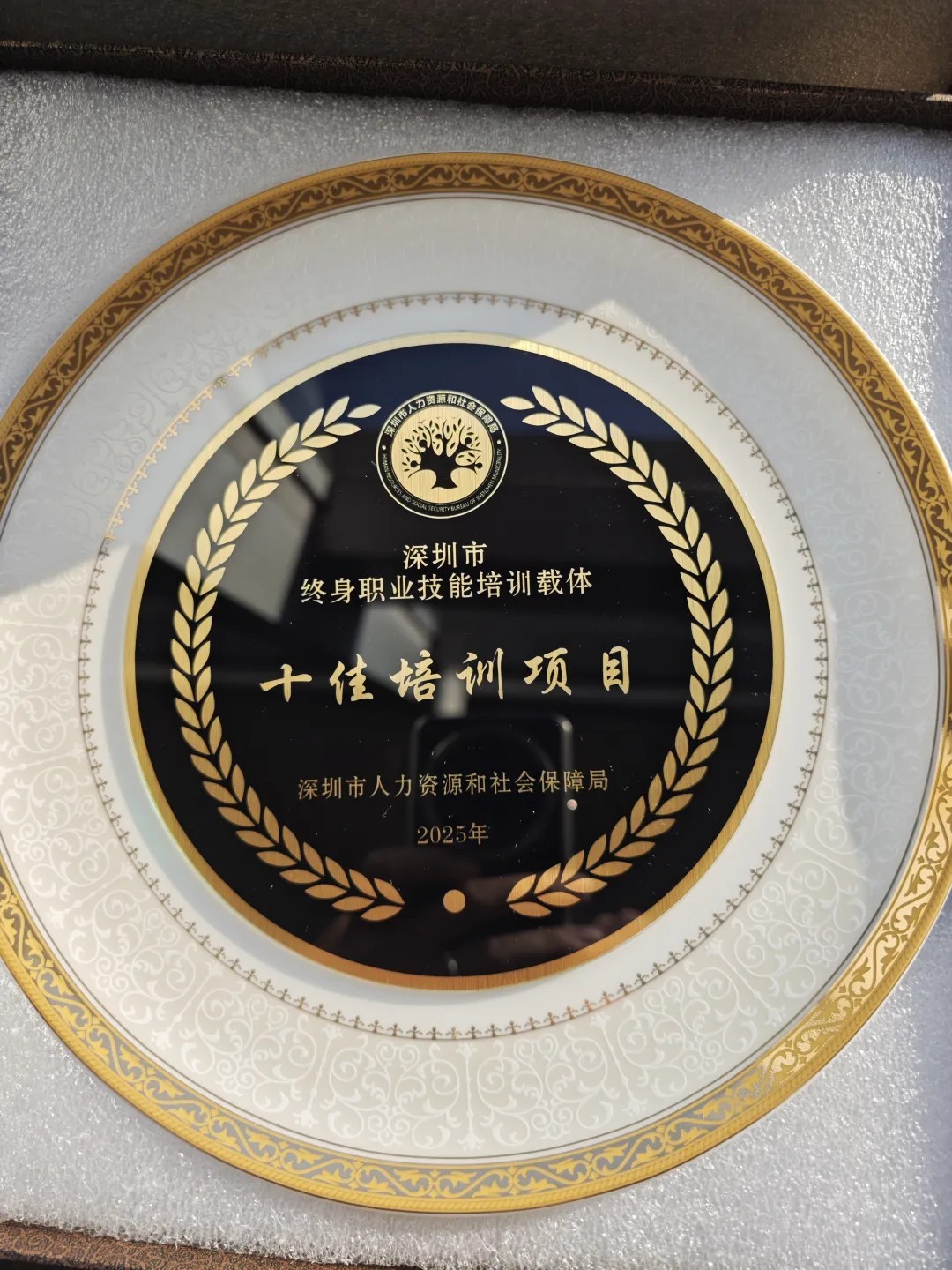 喜报| 政策赋能产业导向，促进会荣获深圳市“十佳培训项目”荣誉称号